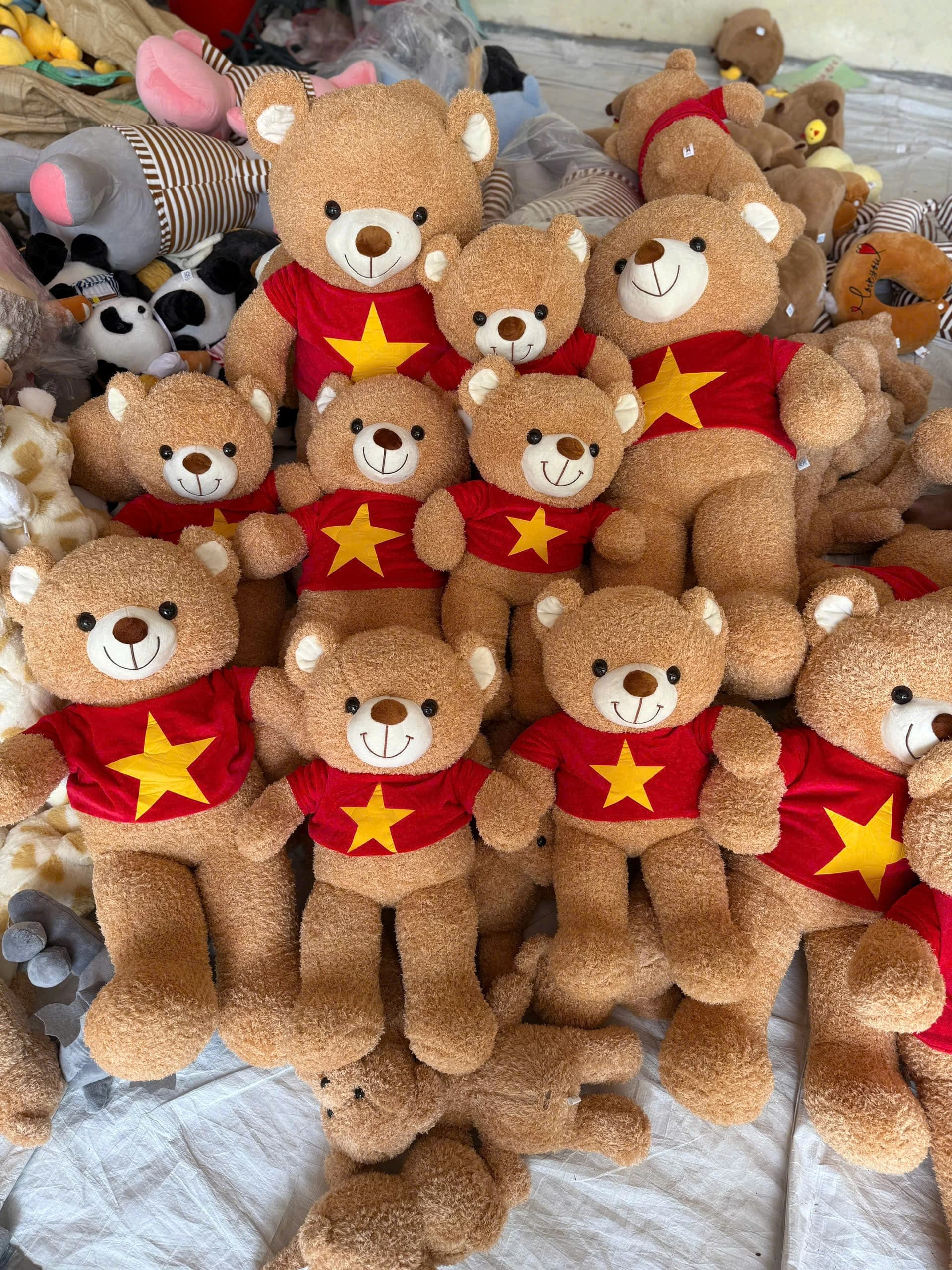 Gấu Bông Teddy
